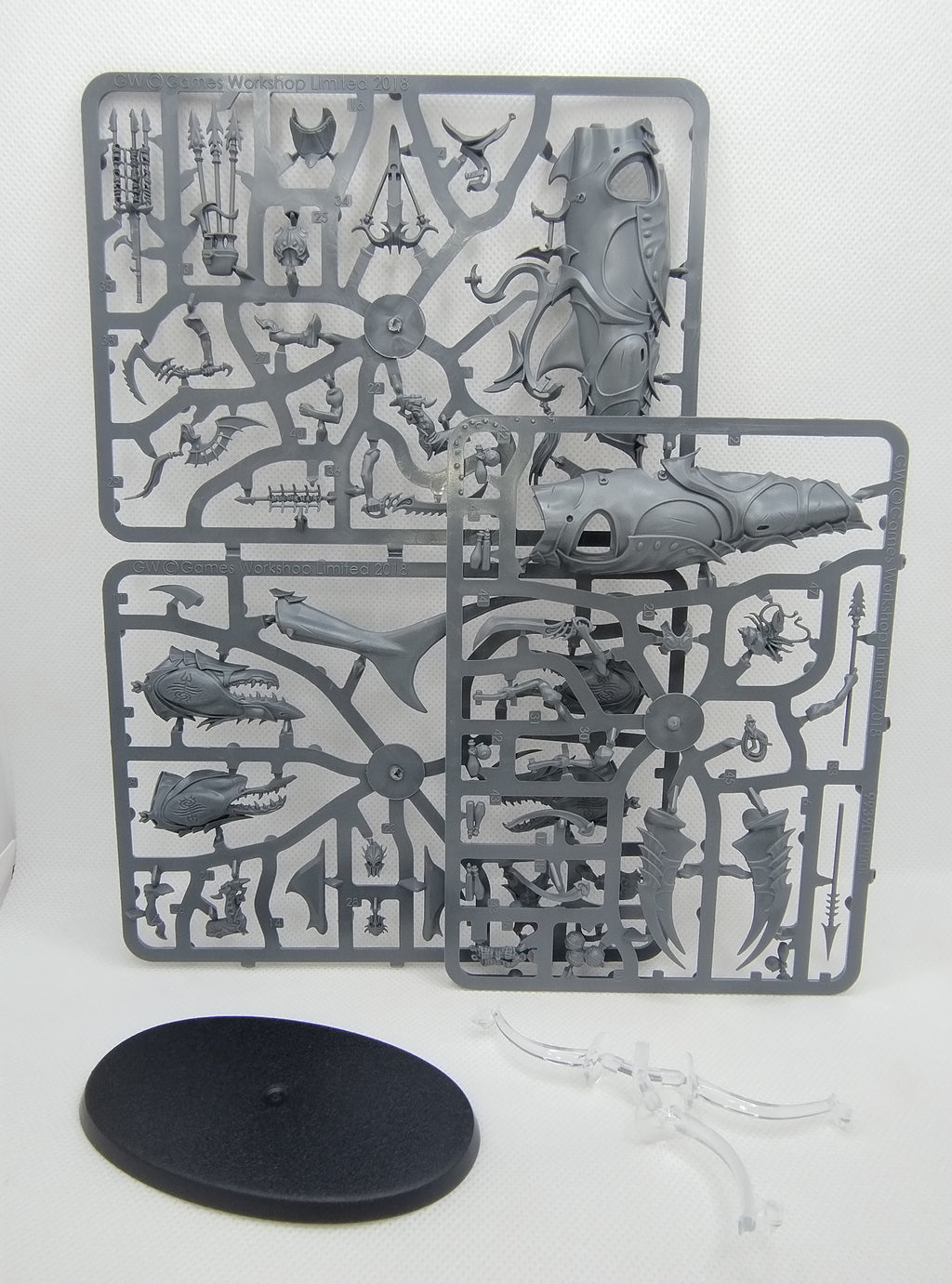 Akhelian Allopex - Idoneth Deepkin new on sprue