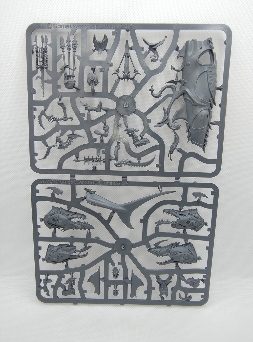 Akhelian Allopex - Idoneth Deepkin new on sprue