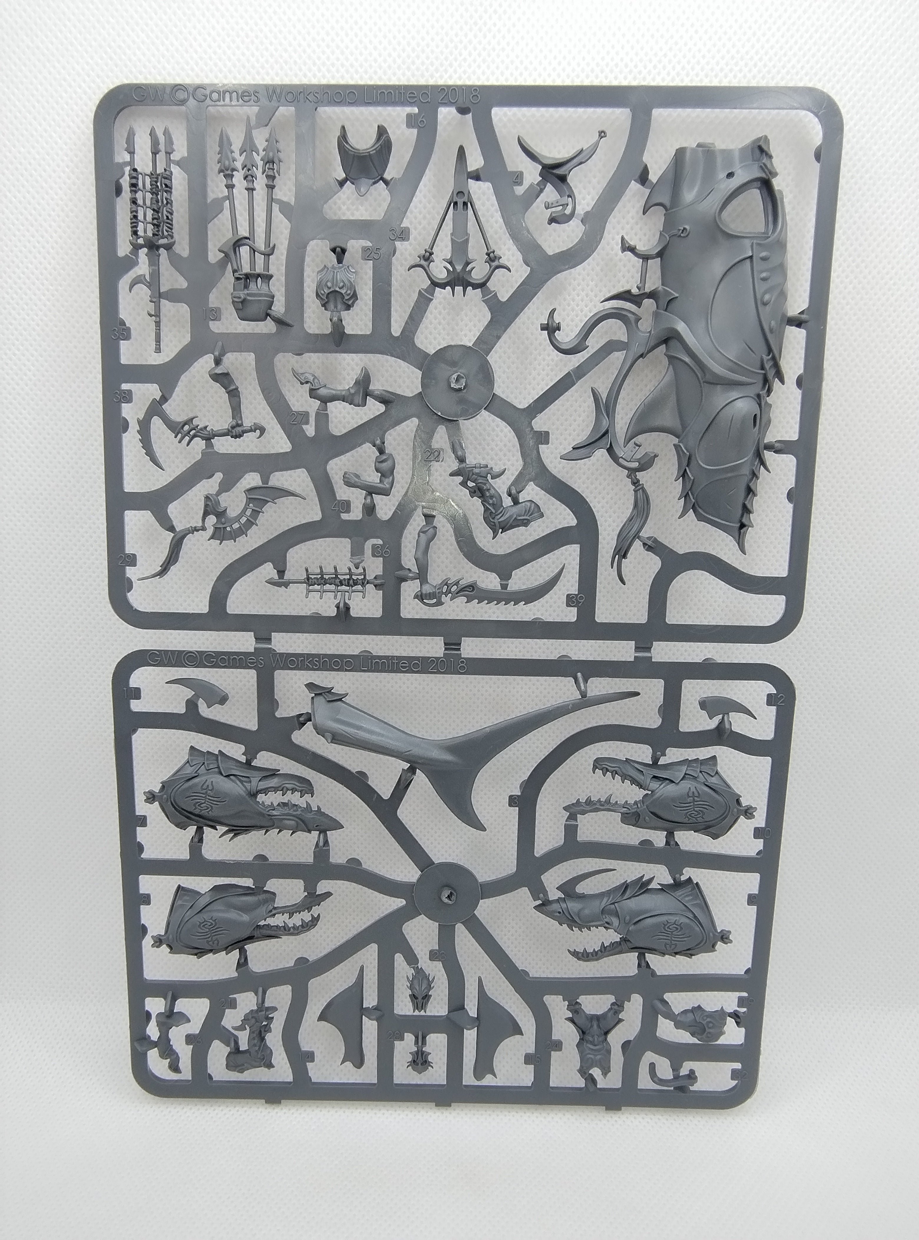 Akhelian Allopex - Idoneth Deepkin new on sprue
