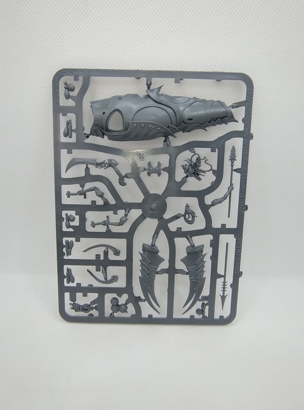 Akhelian Allopex - Idoneth Deepkin new on sprue