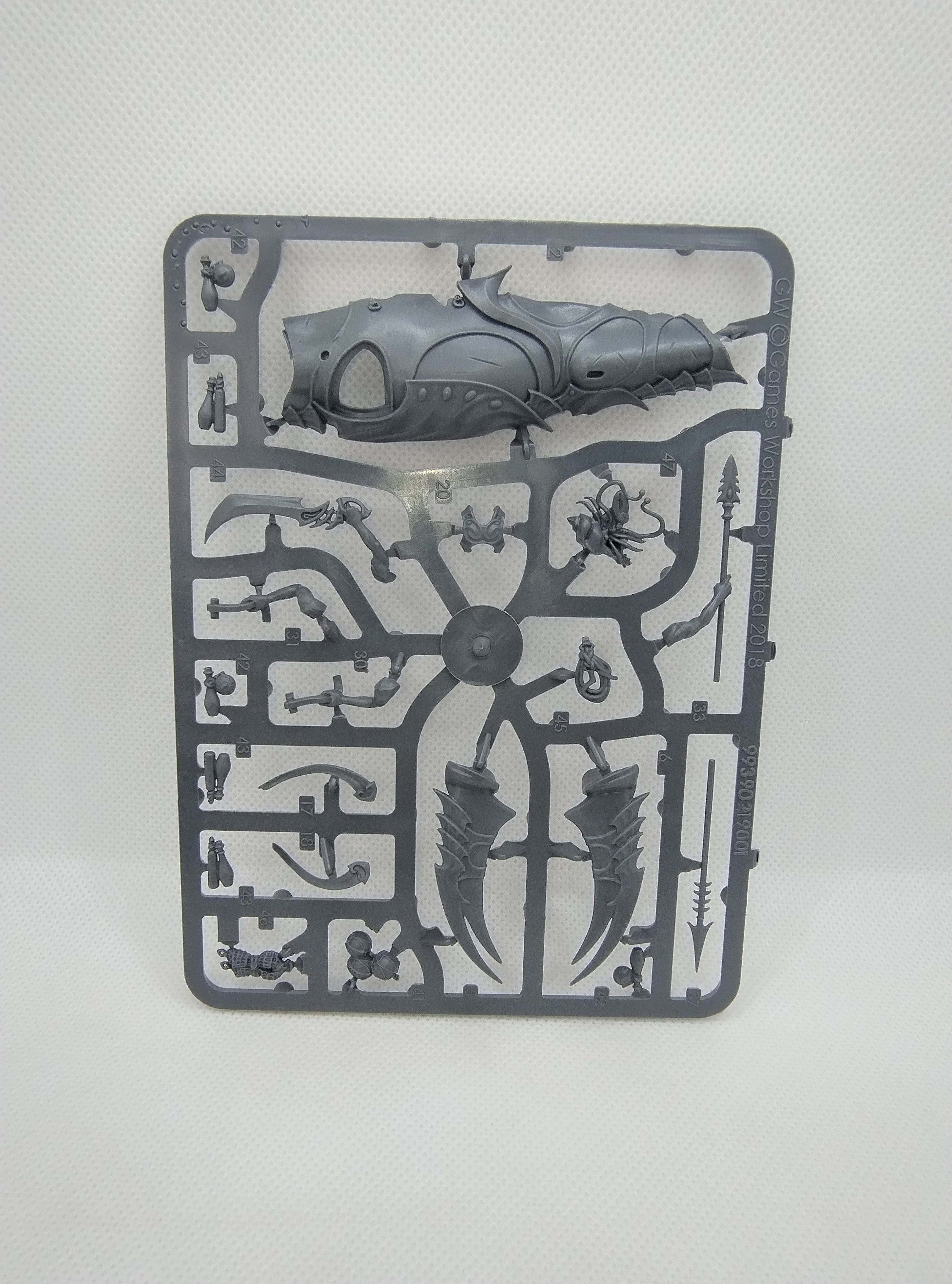 Akhelian Allopex - Idoneth Deepkin new on sprue