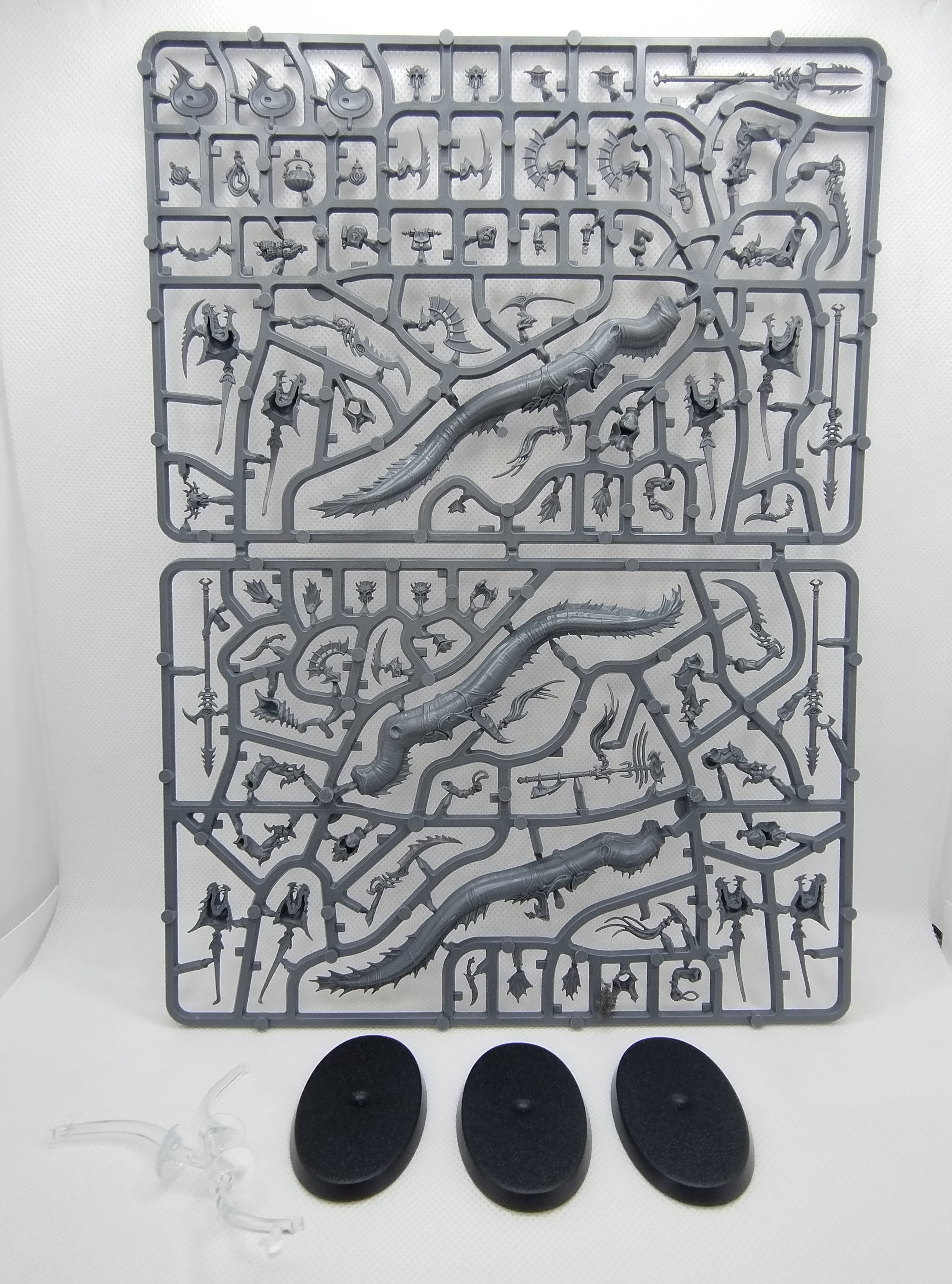 Akhelian Ishlaen/Morrsarr Guard - Idoneth Deepkin new on sprue