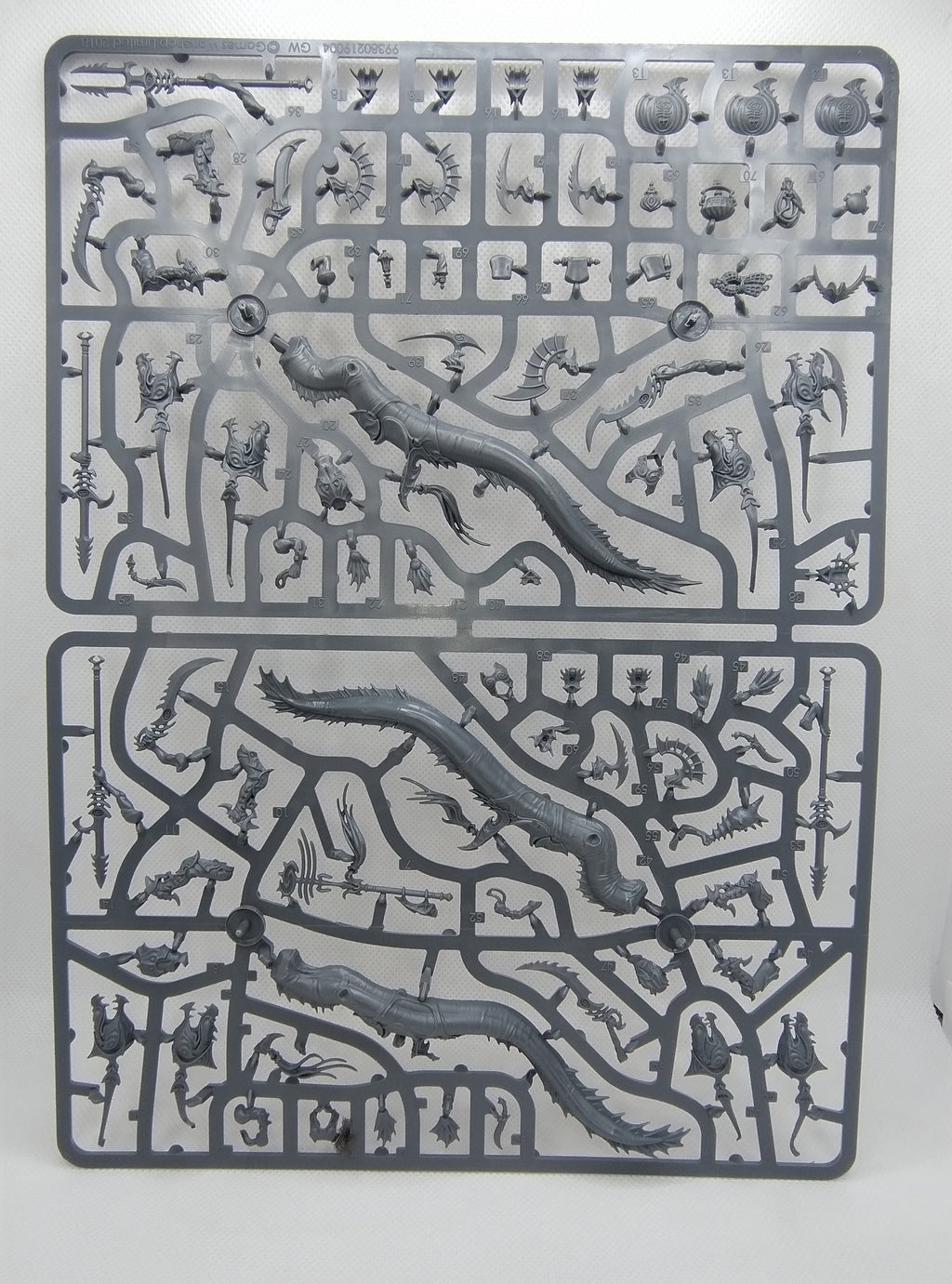 Akhelian Ishlaen/Morrsarr Guard - Idoneth Deepkin new on sprue