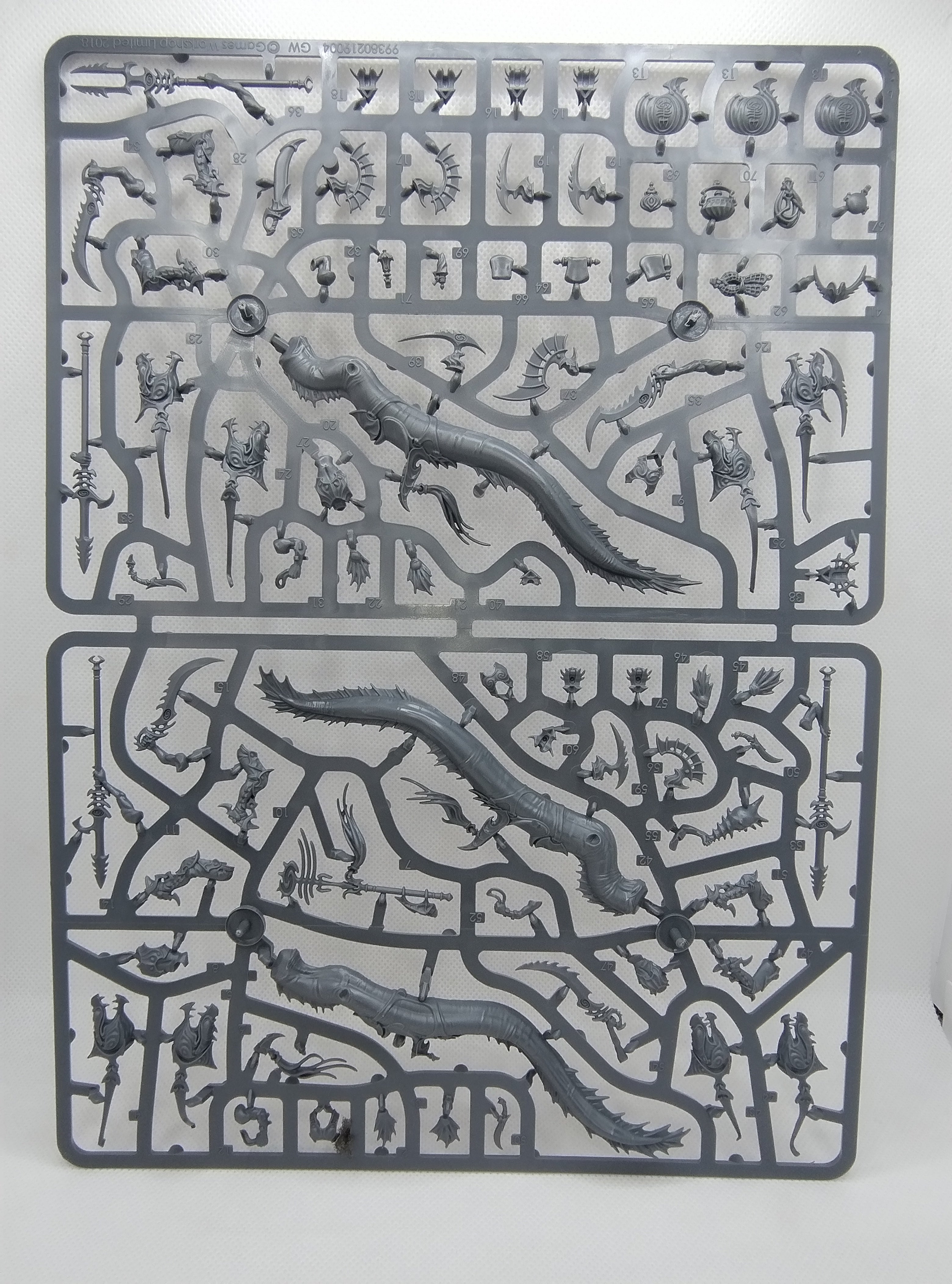 Akhelian Ishlaen/Morrsarr Guard - Idoneth Deepkin new on sprue