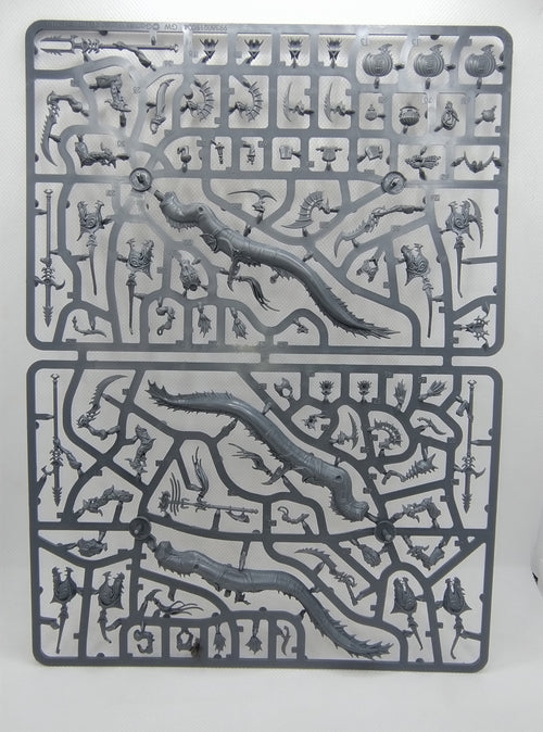 Akhelian Ishlaen/Morrsarr Guard - Idoneth Deepkin new on sprue