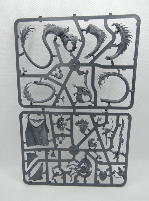 Akhelian King - Idoneth Deepkin new on sprue