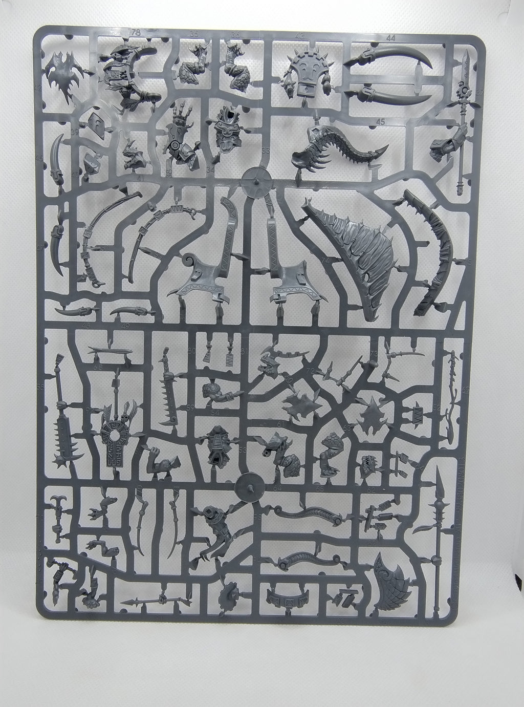 Saurus Oldblood on Carnosaur / Skink Oracle - Seraphon new on sprue