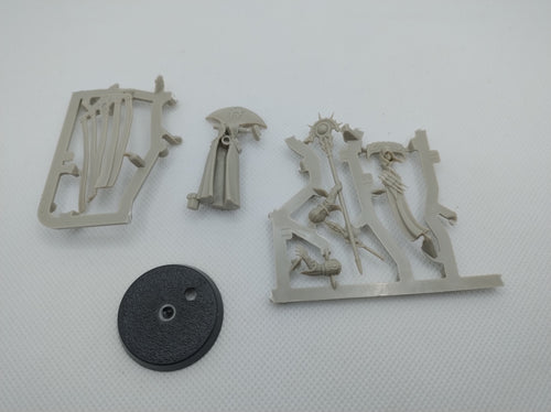 Cleona Zeitengale from Cursed City new on sprue