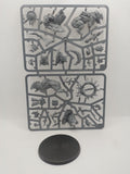 Droggz da Sunchompa new on sprue