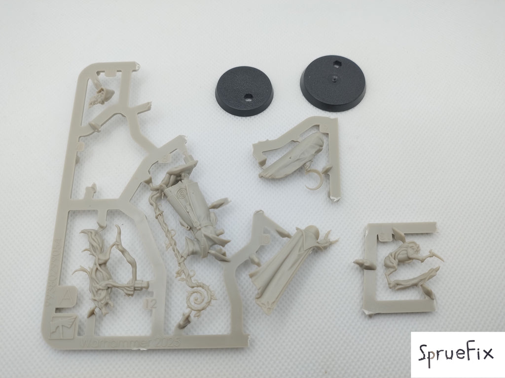 Jacobus Vyne and Wisper new on sprue