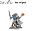 One stormcast Knight Questor new on sprue