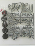 One Adepta Sororita Seraphim squad new on sprue