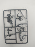 One Ministorum Priest with Vindictor Pious Vorne new on sprue