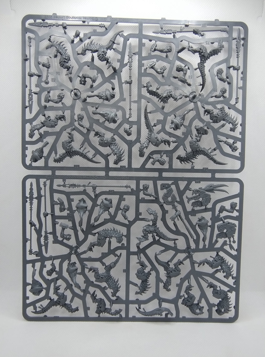 Saurus Warriors - Seraphon new on sprue