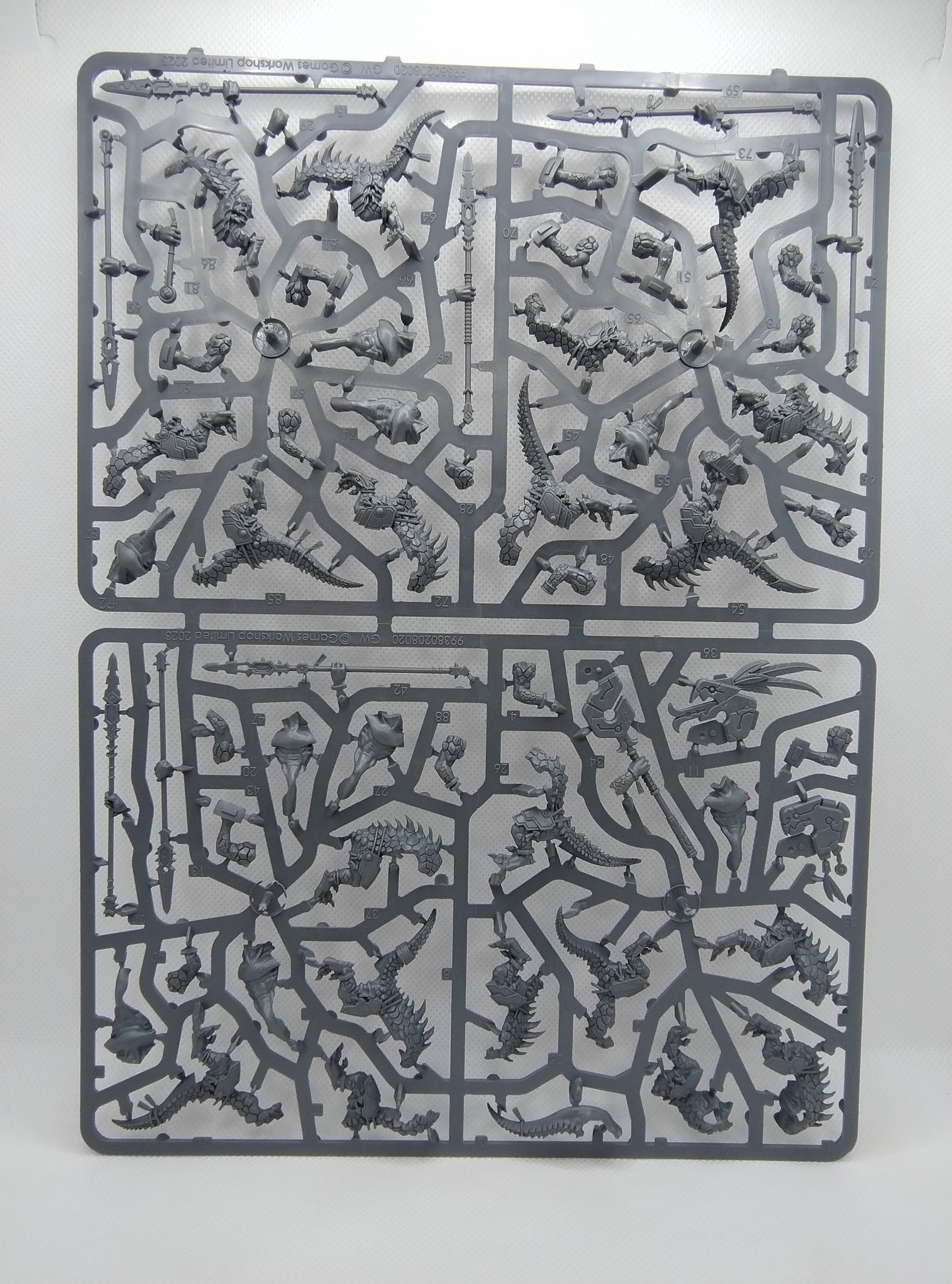 Saurus Warriors - Seraphon new on sprue