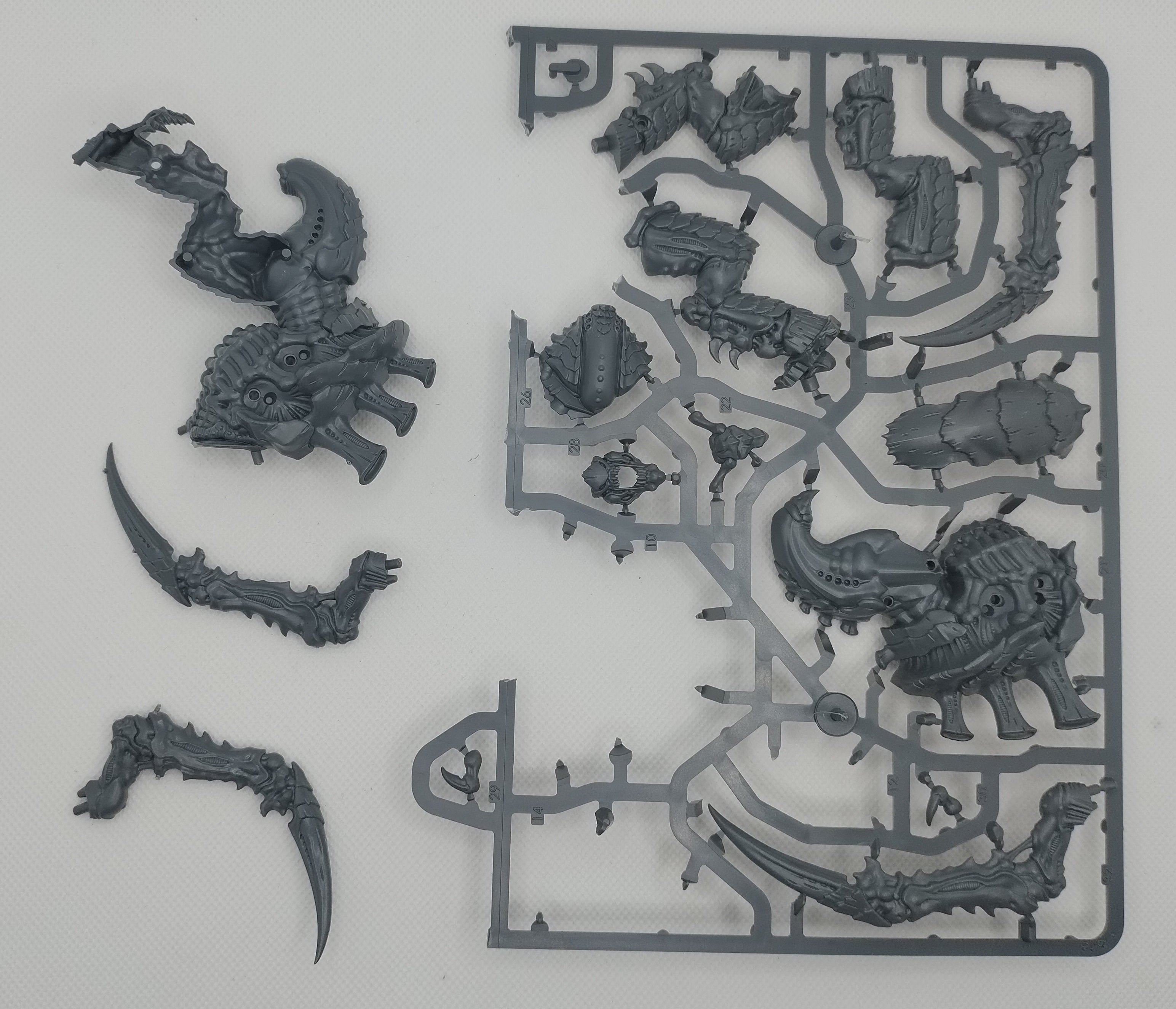 One Tyranid Screamer-Killer new on sprue