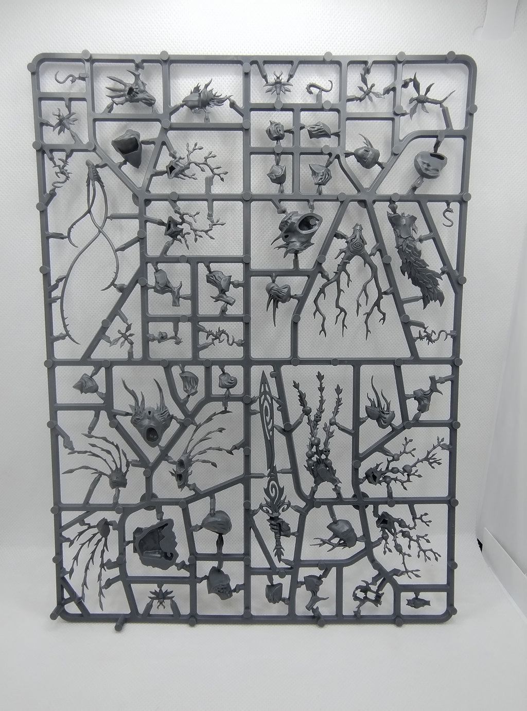Treelord new on sprue (Spirit of Durthu)