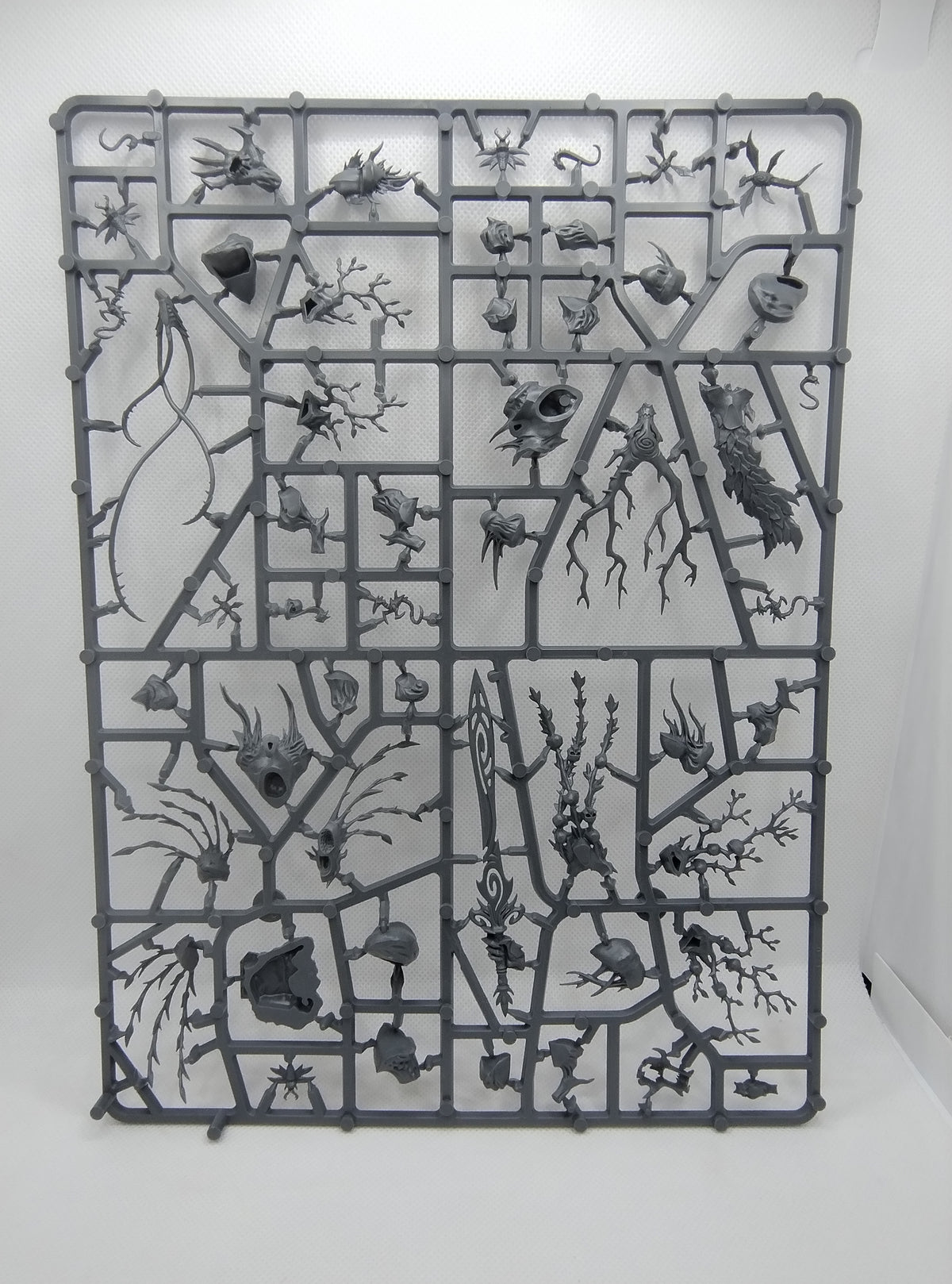 Treelord new on sprue (Spirit of Durthu)