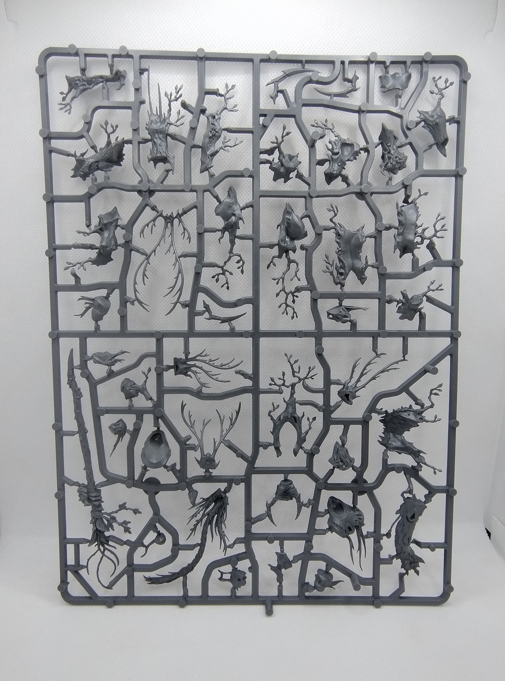 Treelord new on sprue (Spirit of Durthu)