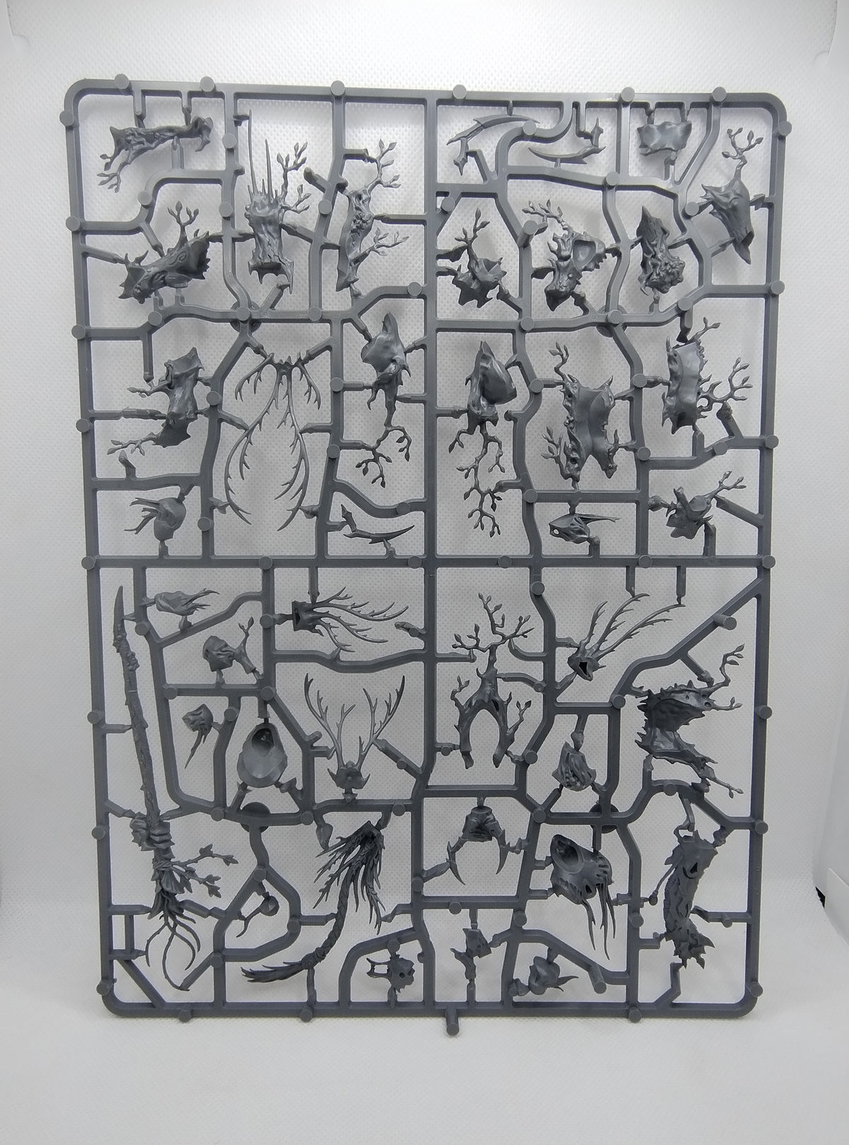 Treelord new on sprue (Spirit of Durthu)